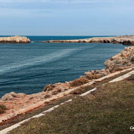 Reportage