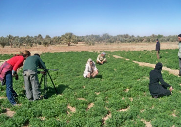 Documentario RAI Slow Food 4