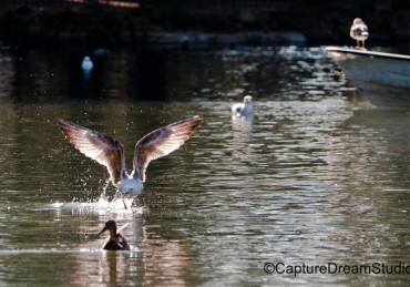 Reportage 9