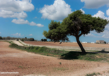 Reportage 2